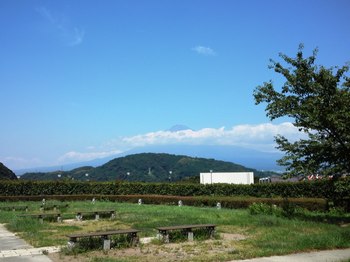 SN3U0376 富士川SA 富士山.JPG